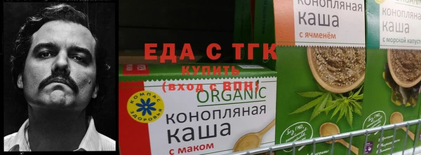 индика Володарск
