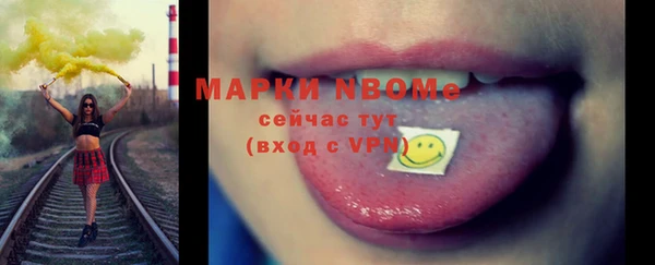 индика Володарск