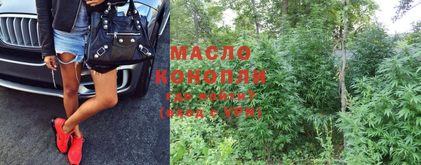 индика Володарск