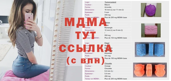 индика Володарск
