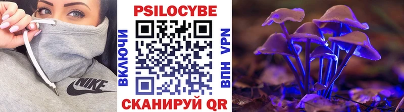 Псилоцибиновые грибы Psilocybe  гидра как войти  Гаврилов-Ям  купить закладку 